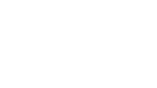 Meguiar's